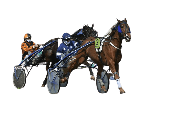 trot-attele-turf