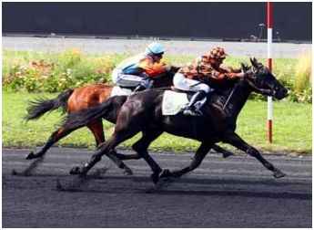 trot-monte