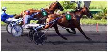 hippodromes trot attele monte